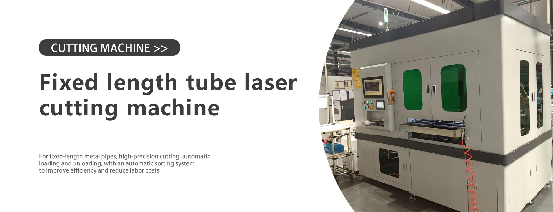 nbzklaser.com